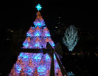Christmas Wallpapers 77